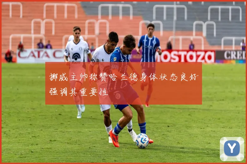 挪威主帅称赞哈兰德身体状态良好强调其重要性